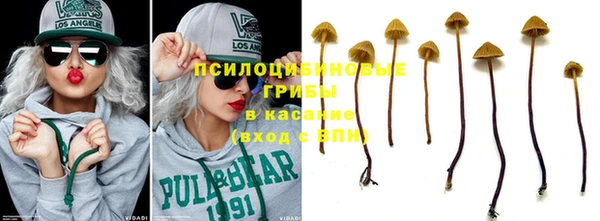 соль ск Киреевск