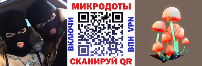 Галлюциногенные грибы Psilocybe  Катайск 